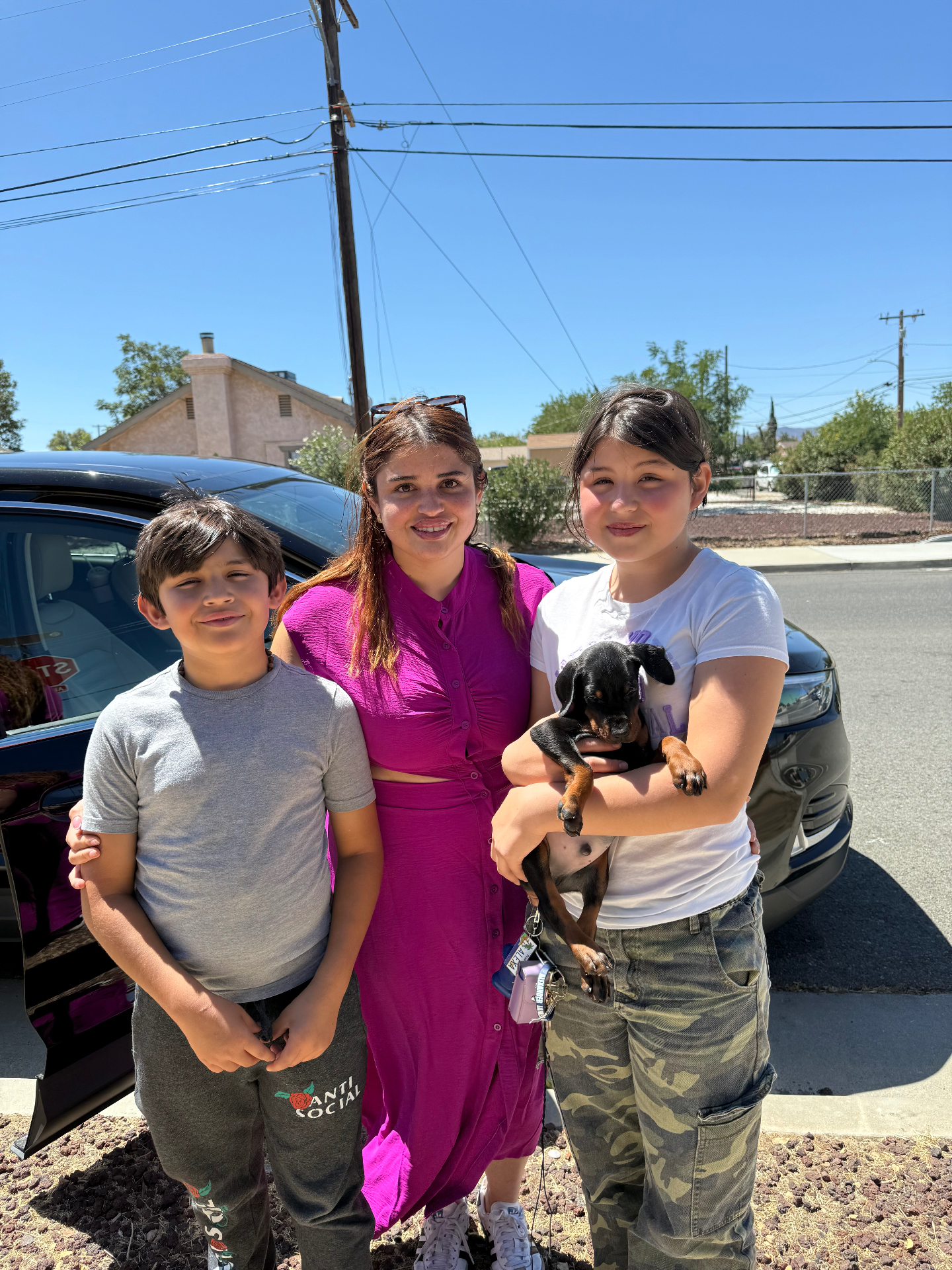 Phenomenal Doberman puppy going home with her new family
