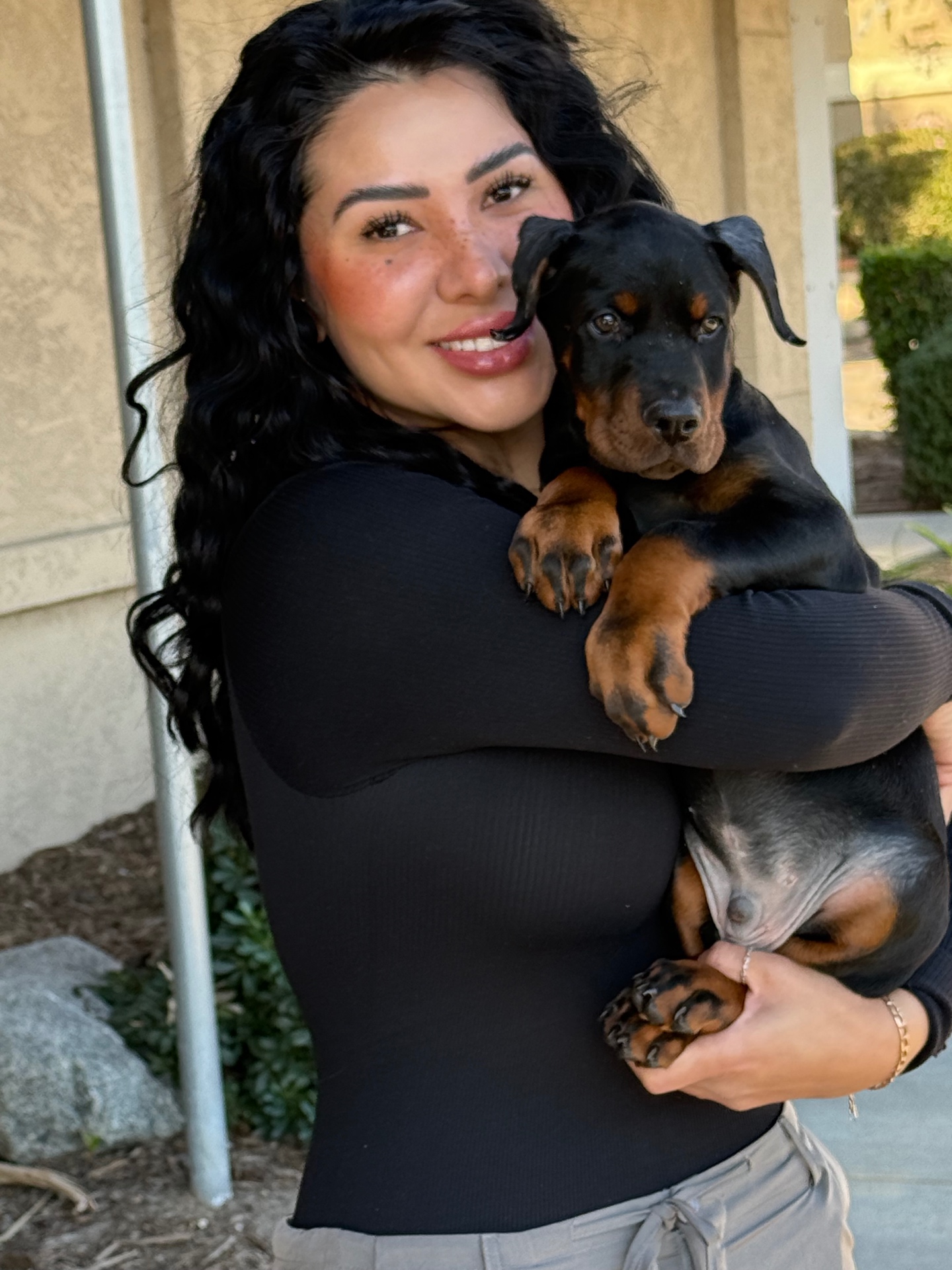 Phenomenal Doberman puppy cuddled close by his new mom outside the home