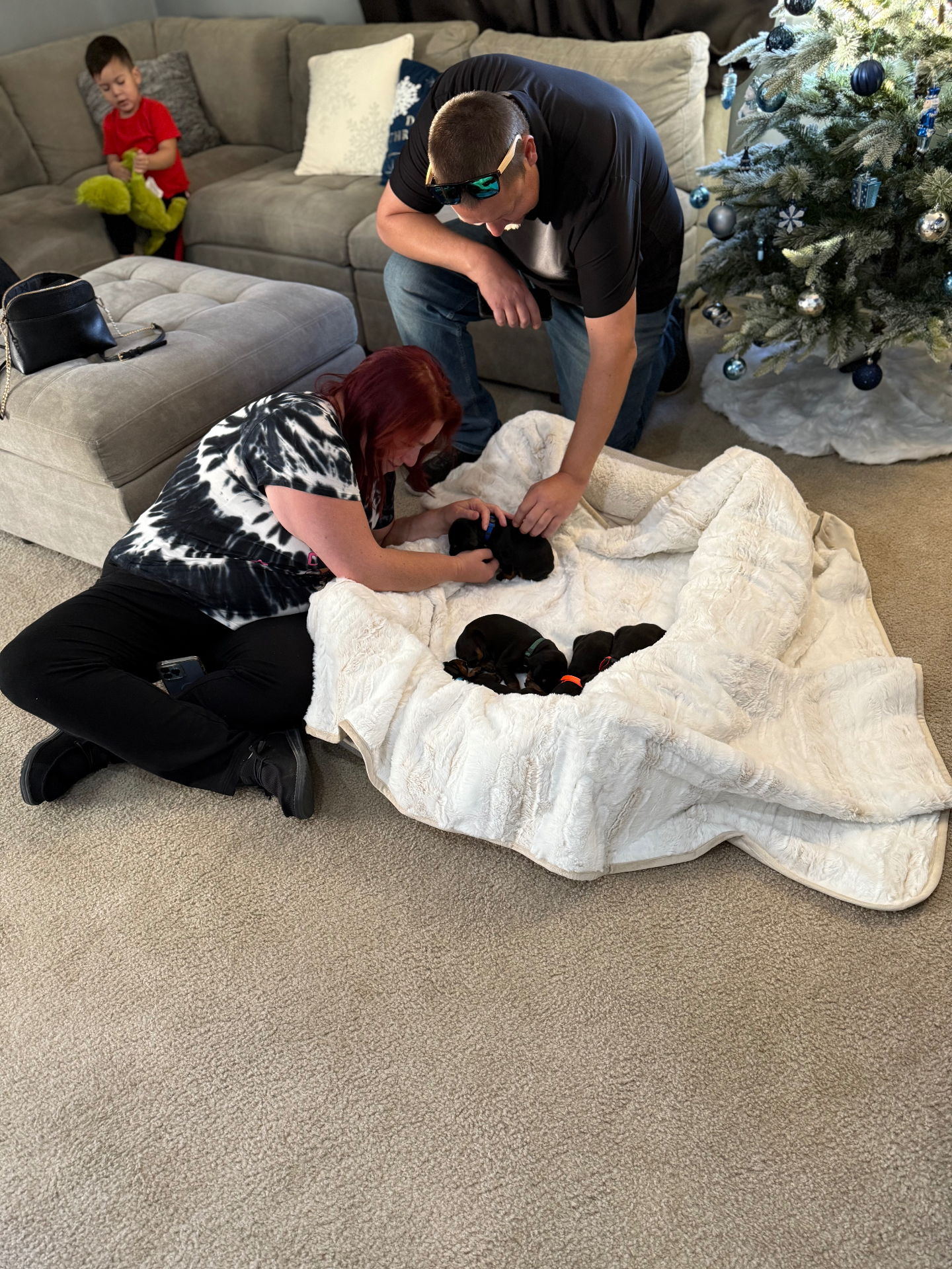 Phenomenal Doberman puppies meeting their new family beside the Christmas tree