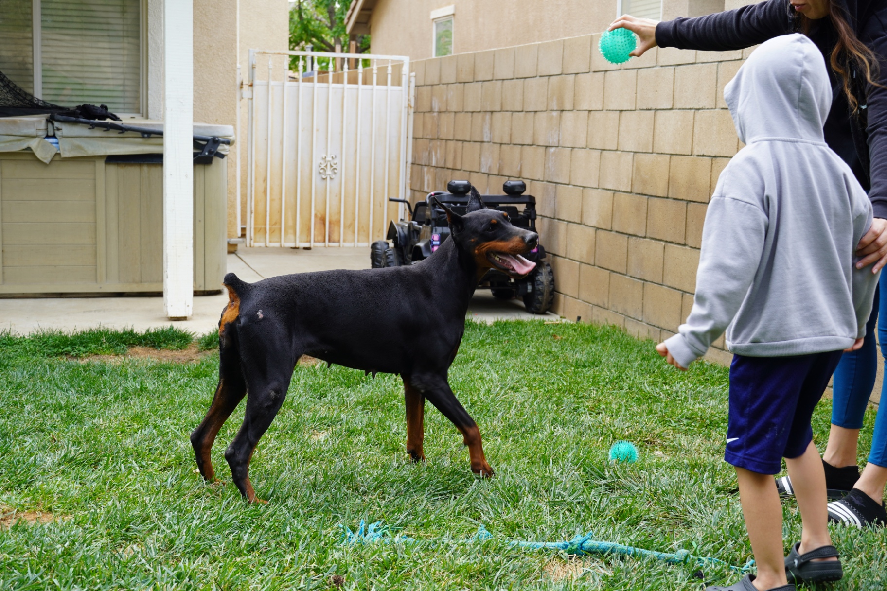 Bonnie playing in the yard with our children