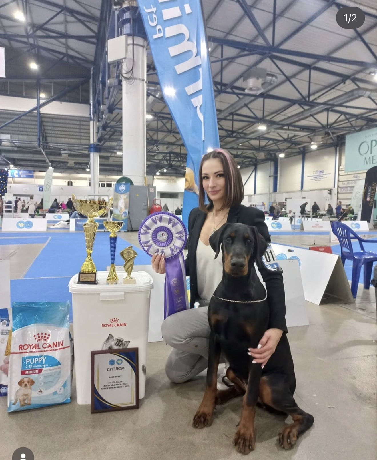 Diva with Best Puppy rosette and trophies at FCI-CACIB Kyivska Rus, Ukraine