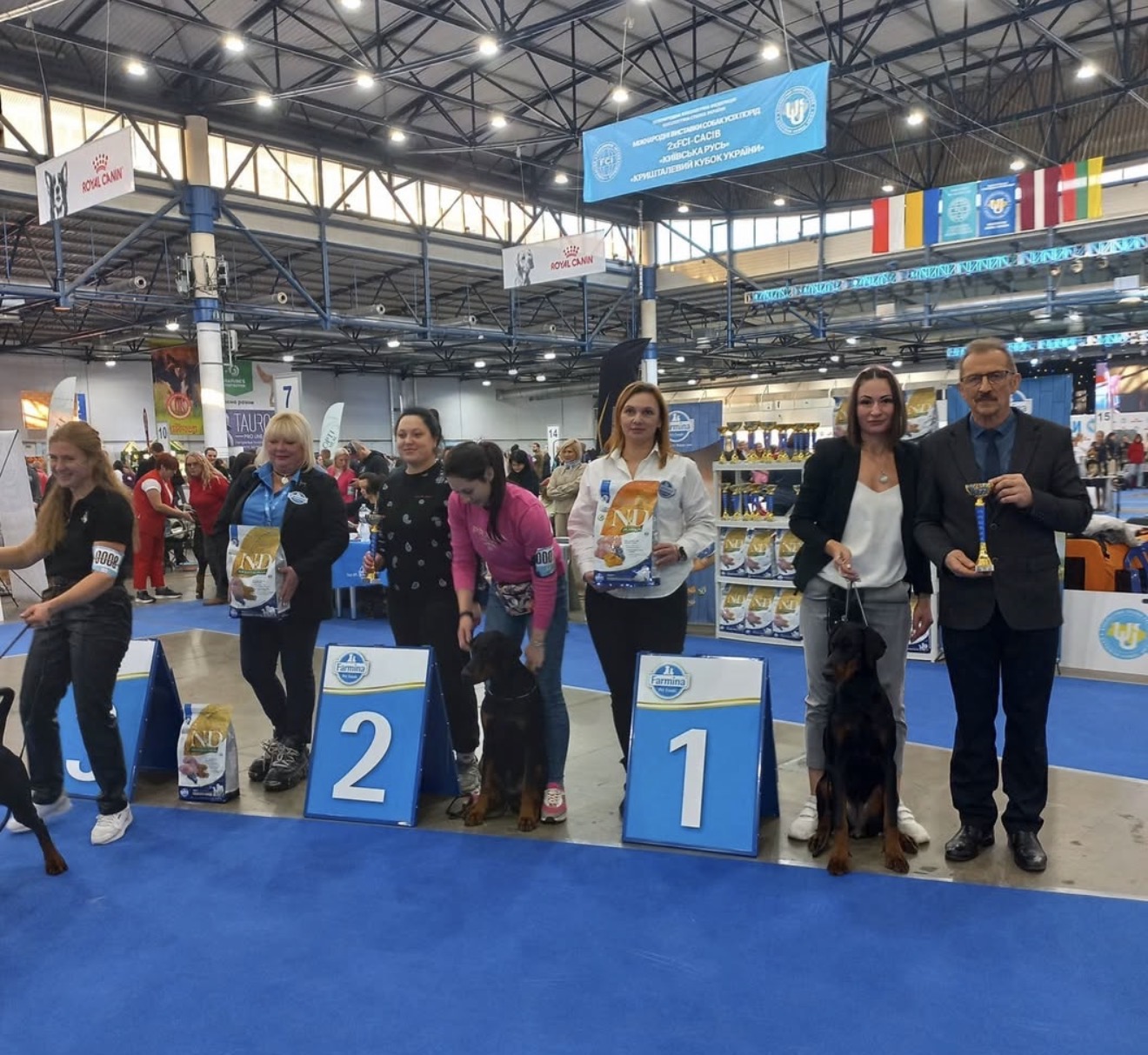 Diva taking 1st place on the Best of Breed podium at a Ukrainian FCI-CACIB show