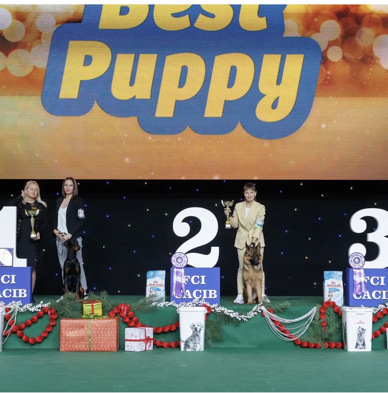 Diva on the FCI-CACIB Best Puppy podium in Ukraine